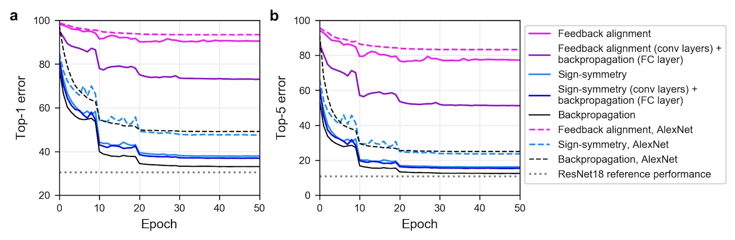 Graphs comparing Top-1 and top-5 validation error on ImageNet for ResNet-18 and AlexNet